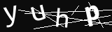 verifycode